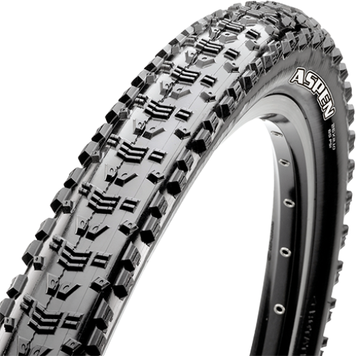 Maxxis Aspen 29x2.25 EXO TR maastorengas