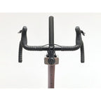 Trek Checkpoint ALR 5 Gen 3 (2026) - Bronze Age 3