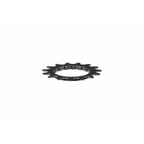 Trek eBike Bosch Gen2 Chainring Boost 15t 2
