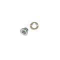 Trek Chainring-Style Derailleur Hanger Fastener (M6x6mm